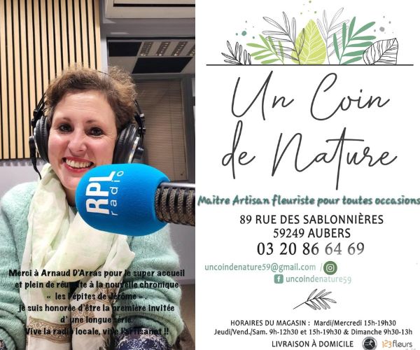 pepite01.jpg (70 KB)